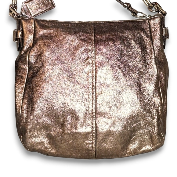 Coach Ashlyn Chelsea Hobo Bag Leather  Pewter Metallic Shoulder Bag Purse 18211 - Picture 2 of 13